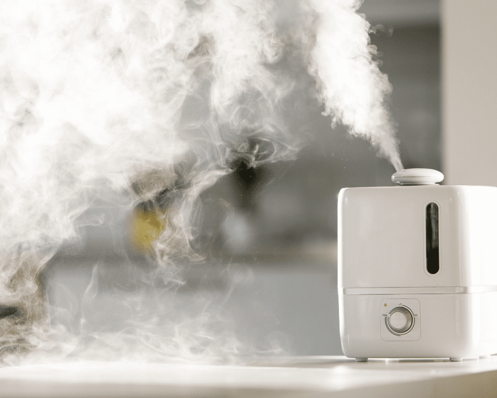 HEPA Filter Air Purifier