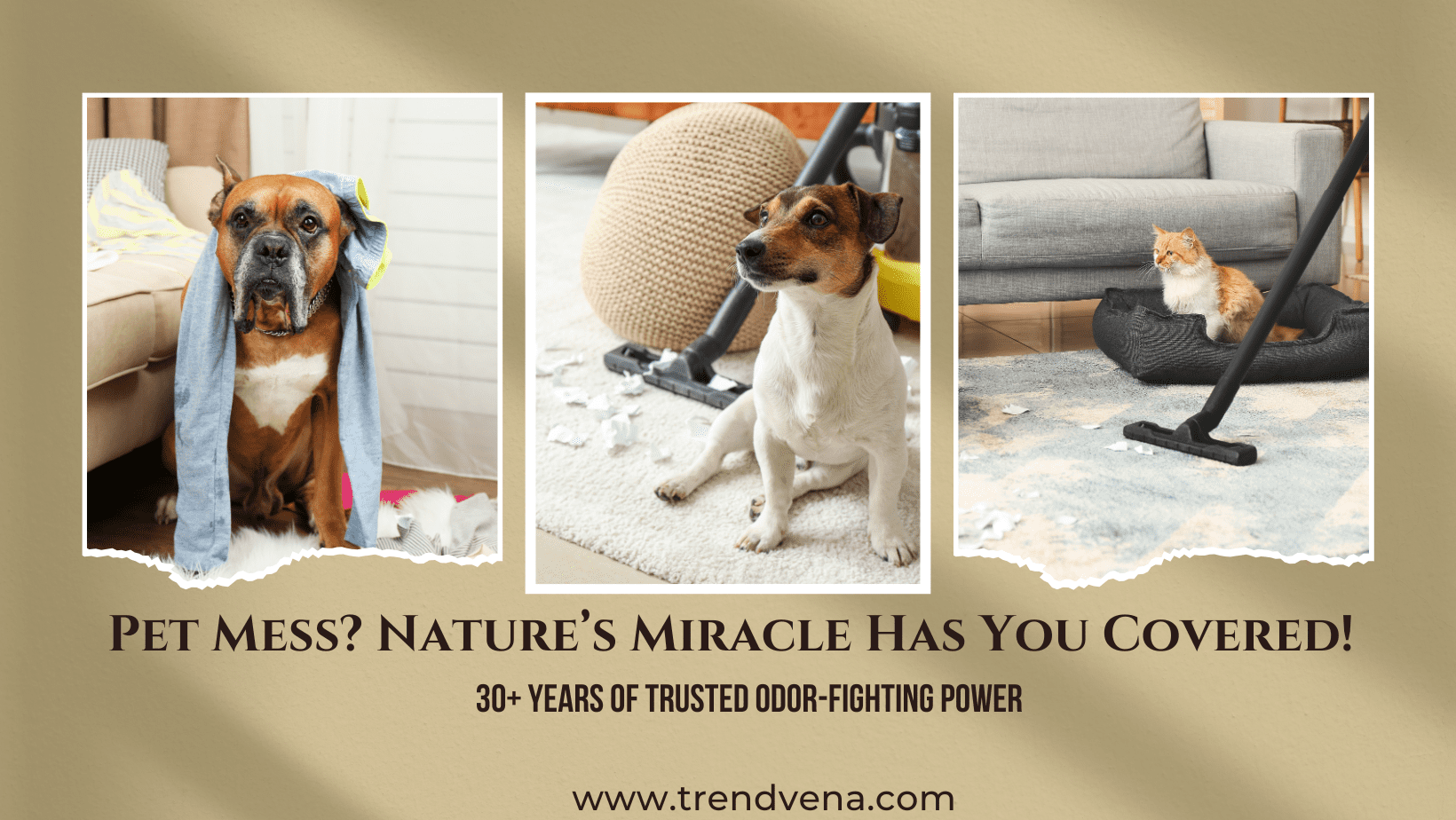 Nature’s Miracle Stain & Odor Remover: The Ultimate Guide for Pet Owners