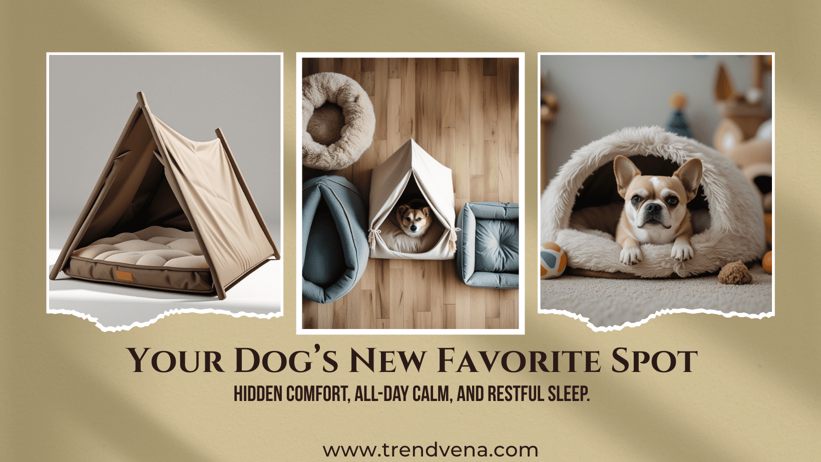 The Ultimate Guide to Dog Cave Beds in 2025 : Why Your Pup Deserves a Cozy Den of Their Own